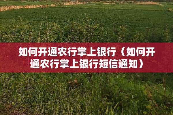 如何开通农行掌上银行（如何开通农行掌上银行短信通知）