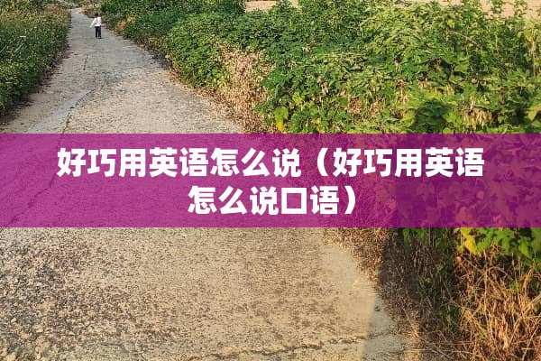 好巧用英语怎么说（好巧用英语怎么说口语）