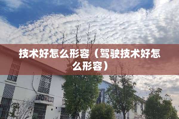 技术好怎么形容（驾驶技术好怎么形容）