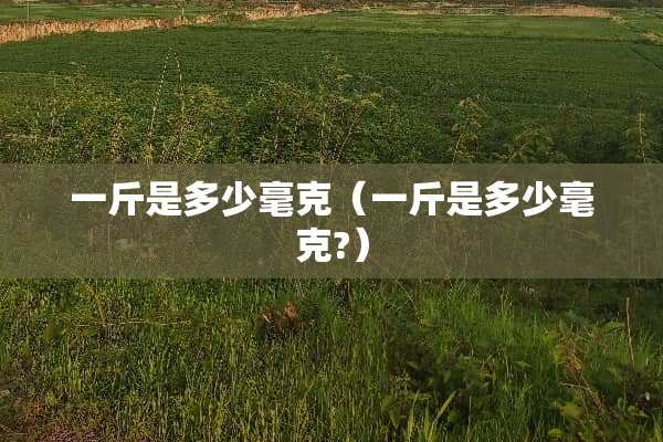 一斤是多少毫克（一斤是多少毫克?）