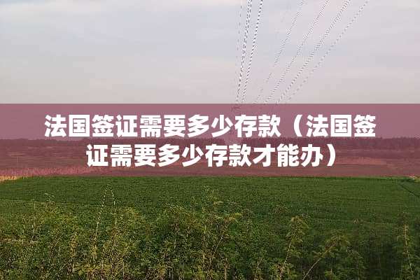 法国签证需要多少存款（法国签证需要多少存款才能办）