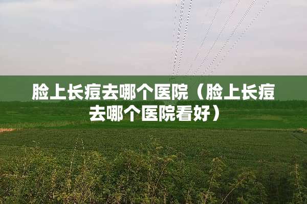 脸上长痘去哪个医院（脸上长痘去哪个医院看好）