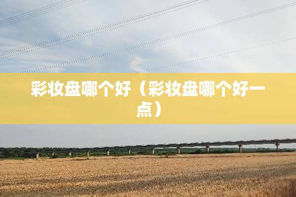 彩妆盘哪个好（彩妆盘哪个好一点）