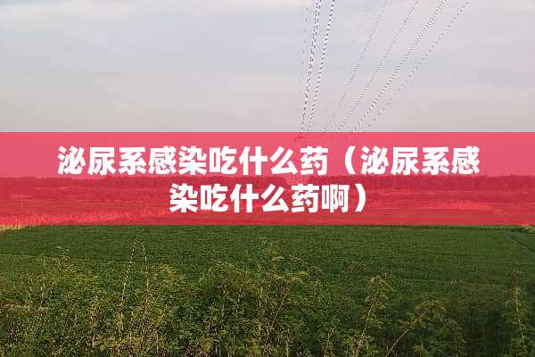 泌尿系感染吃什么药（泌尿系感染吃什么药啊）