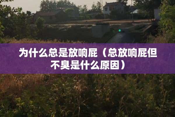 为什么总是放响屁（总放响屁但不臭是什么原因）