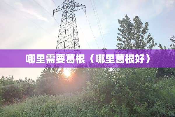 哪里需要葛根（哪里葛根好）