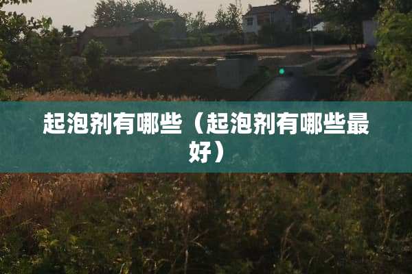 起泡剂有哪些（起泡剂有哪些最好）