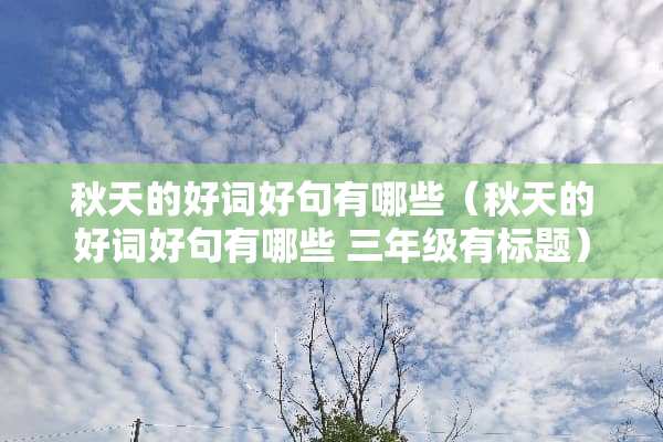 秋天的好词好句有哪些（秋天的好词好句有哪些 三年级有标题）