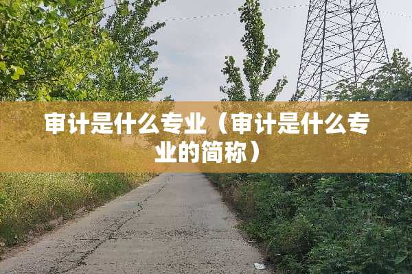 审计是什么专业（审计是什么专业的简称）