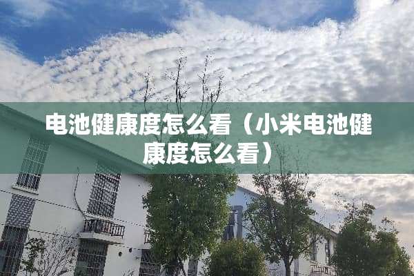 电池健康度怎么看（小米电池健康度怎么看）