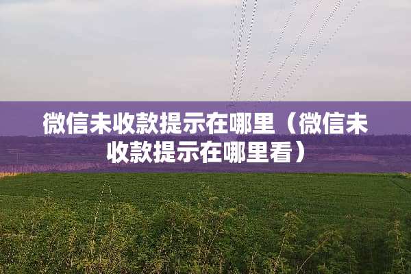 微信未收款提示在哪里（微信未收款提示在哪里看）