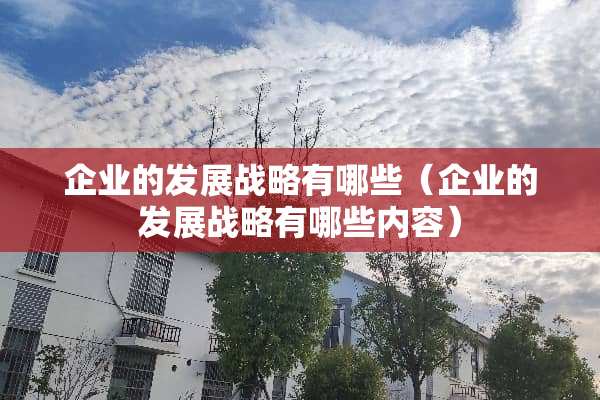 企业的发展战略有哪些（企业的发展战略有哪些内容）