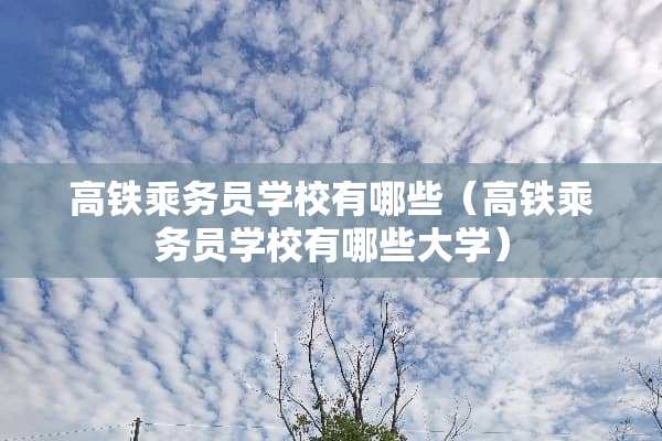 高铁乘务员学校有哪些（高铁乘务员学校有哪些大学）