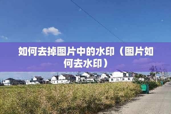 如何去掉图片中的水印（图片如何去水印）