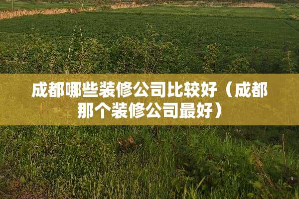 成都哪些装修公司比较好（成都那个装修公司最好）