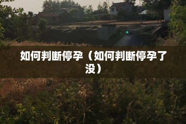 如何判断停孕（如何判断停孕了没）