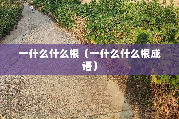 一什么什么根（一什么什么根成语）