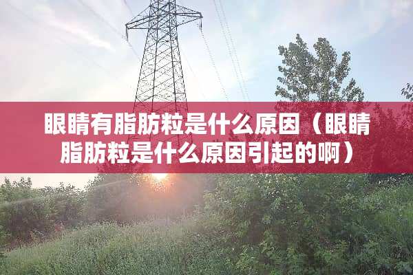 眼睛有脂肪粒是什么原因（眼睛脂肪粒是什么原因引起的啊）