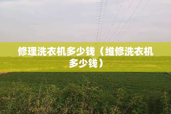 修理洗衣机多少钱（维修洗衣机多少钱）
