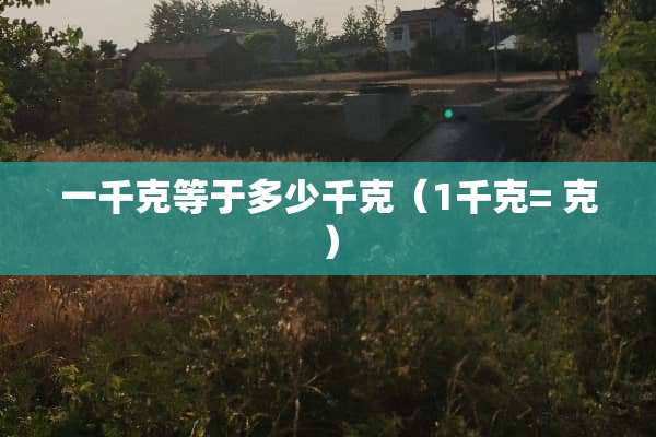 一千克等于多少千克（1千克= 克）