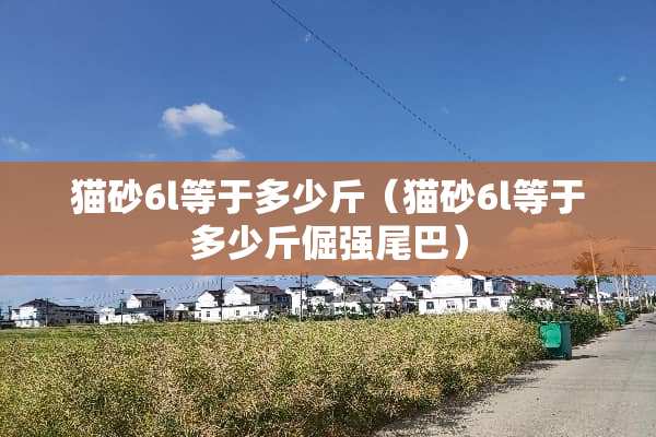 猫砂6l等于多少斤（猫砂6l等于多少斤倔强尾巴）