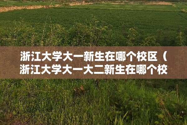 浙江大学大一新生在哪个校区（浙江大学大一大二新生在哪个校区）