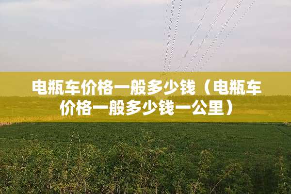 电瓶车价格一般多少钱（电瓶车价格一般多少钱一公里）