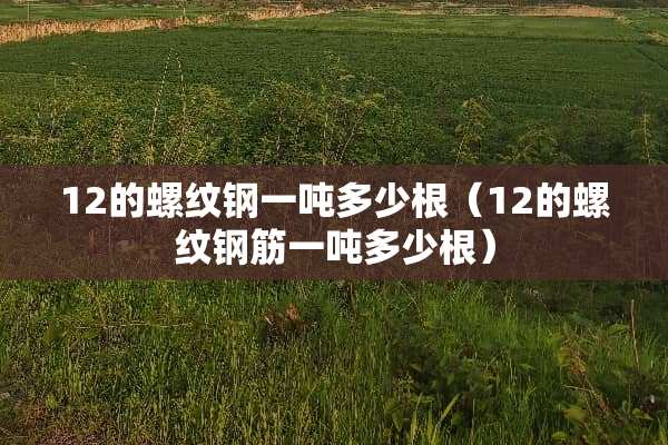 12的螺纹钢一吨多少根（12的螺纹钢筋一吨多少根）