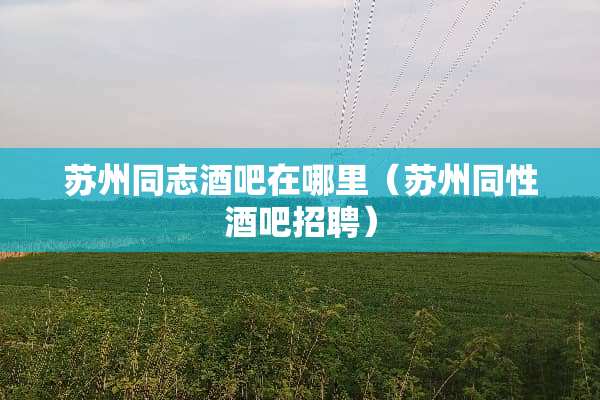 苏州同志酒吧在哪里（苏州同性酒吧招聘）