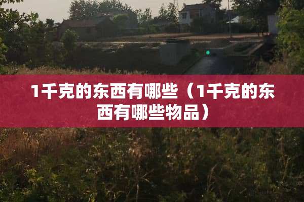 1千克的东西有哪些（1千克的东西有哪些物品）