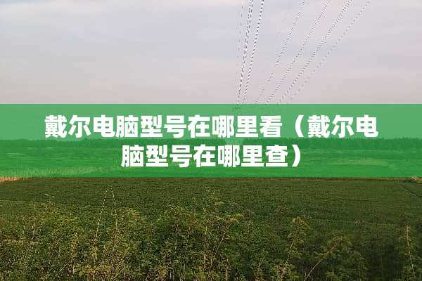 戴尔电脑型号在哪里看（戴尔电脑型号在哪里查）