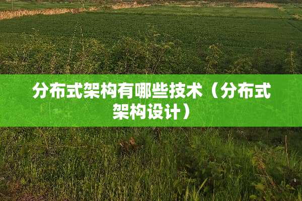 分布式架构有哪些技术（分布式架构设计）