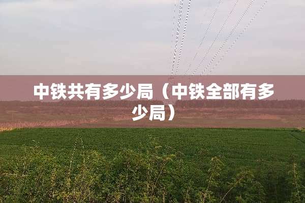 中铁共有多少局（中铁全部有多少局）