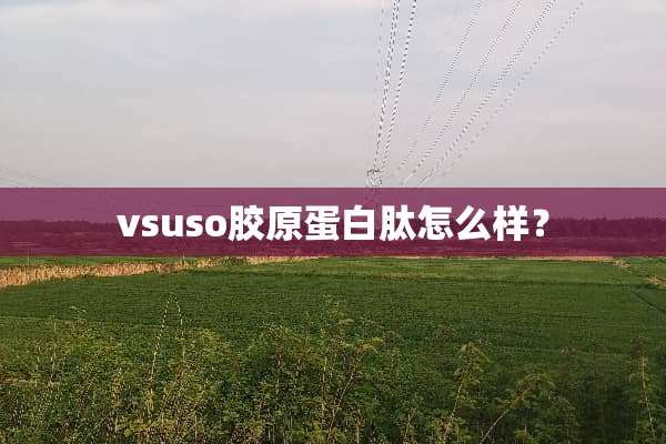 vsuso胶原蛋白肽怎么样？