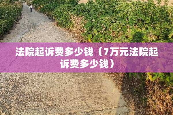 法院起诉费多少钱（7万元法院起诉费多少钱）