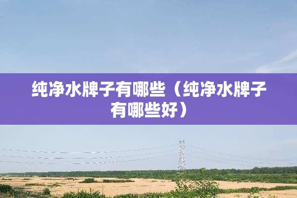 纯净水牌子有哪些（纯净水牌子有哪些好）