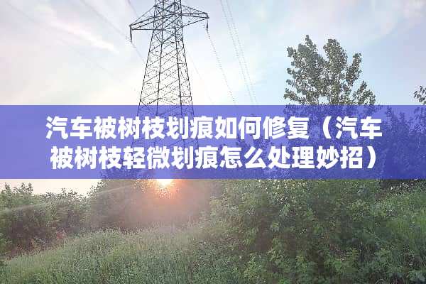 汽车被树枝划痕如何修复（汽车被树枝轻微划痕怎么处理妙招）