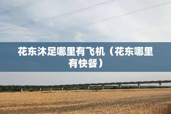 花东沐足哪里有飞机（花东哪里有快餐）