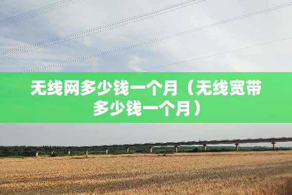 无线网多少钱一个月（无线宽带多少钱一个月）