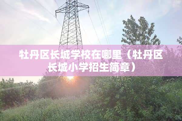 牡丹区长城学校在哪里（牡丹区长城小学招生简章）