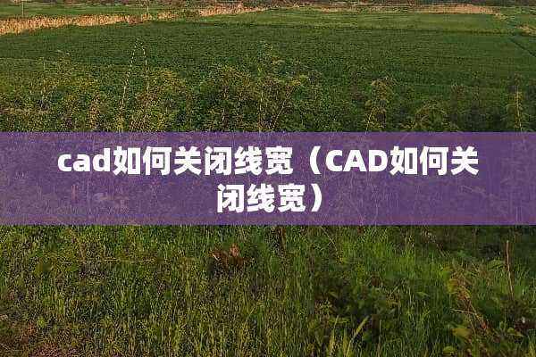 cad如何关闭线宽（CAD如何关闭线宽）