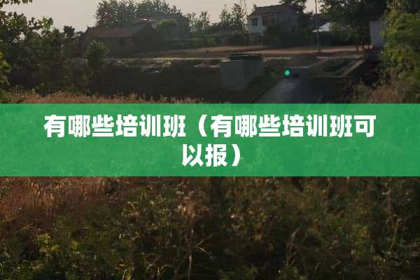 有哪些培训班（有哪些培训班可以报）