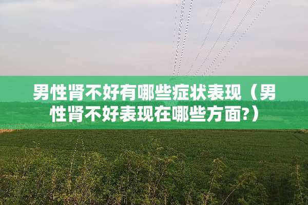 男性肾不好有哪些症状表现（男性肾不好表现在哪些方面?）