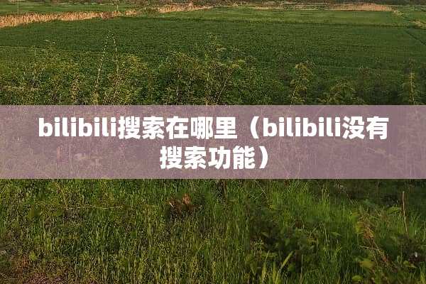 bilibili搜索在哪里（bilibili没有搜索功能）