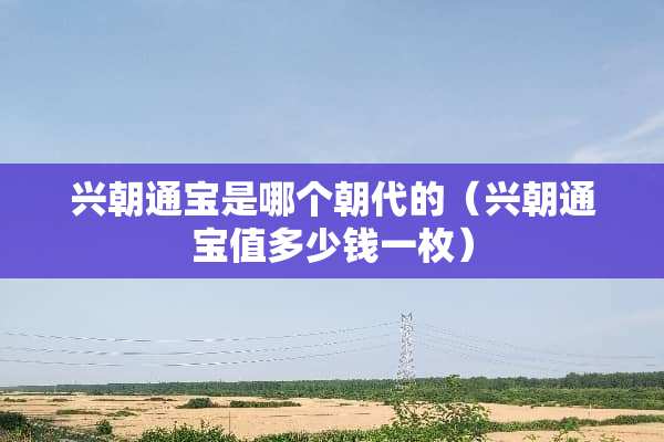 兴朝通宝是哪个朝代的（兴朝通宝值多少钱一枚）