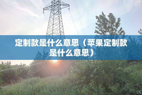 定制款是什么意思（苹果定制款是什么意思）