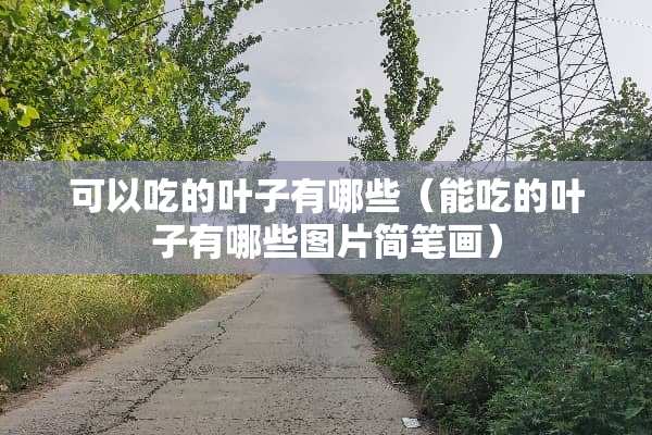 可以吃的叶子有哪些（能吃的叶子有哪些图片简笔画）