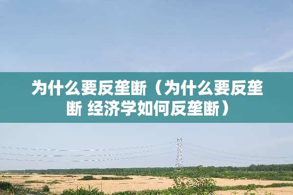 为什么要反垄断（为什么要反垄断 经济学如何反垄断）