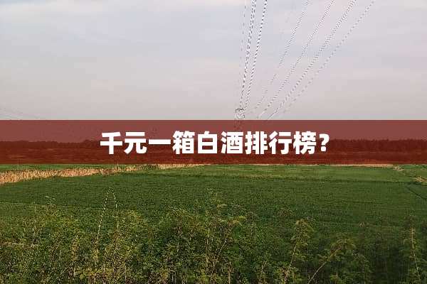 千元一箱白酒排行榜？