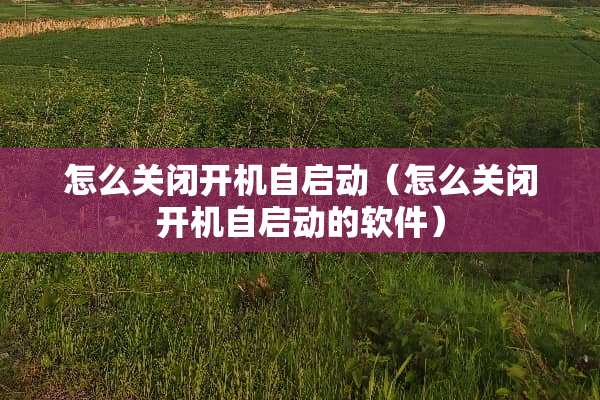 怎么关闭开机自启动（怎么关闭开机自启动的软件）